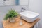 Modern styled bathroom with faucet, sink, liquid soap and a plant in a pot on a wooden drawer