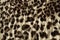 Modern stylish fabric jaguar texture close up