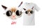 Modern t-shirt print design with funny cat with cups of coffee glasses, use for sweatshirts and souvenirs, cases for