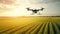 Modern technologies in agriculture. Industrial drone flies over a green field and sprays useful pesticides to increase