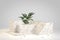 Modern Terrazzo Marble Podium With Monstera Green Plant 3d Render
