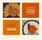 Modern Thanksgiving turkeys and text designs.