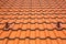 modern tiled roof