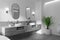 Modern tranquil home bathroom interior with modern amenities and rustic charm. It blends elegance, comfort, and nature. 3d