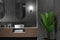 Modern tranquil home bathroom interior with modern amenities and rustic charm. It blends elegance, comfort, and nature. 3d