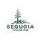 Modern tree sequoia logo. Vector illustration