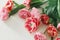 Modern tulips on grey stone background. Happy Valentines day and happy mother\\\'s day bouquet.