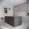 Modern Urban Contemporary Gray Kitchen Interior