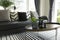 Modern vase and green leaf on center table with black and white pillows on sofa