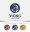 Modern vector professional sign logo viking, Logo design