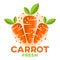 Modern vegan vegetable carrot logo.