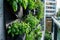 Modern vertical lush herb garden planter bags hanging on city apartment balcony wall. Balcony herb garden concept