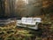 Modern white sofa covered in vegetation and abandoned in the forest.