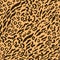 Modern wild animal seamless pattern texture. Tiger background. Jungle safari concept