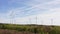 modern wind turbine park in the nature 4k 30fps
