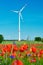 Modern wind turbines in flower field with red poppy and blue cornflowers in full bloom. Alternative green energy, eco-friendly