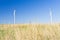 Modern windmills at flat land of Banat region