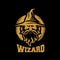 Modern wizard logo.