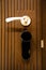 Modern wooden looking steel door, security electronic lock system