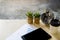 Modern workplace with digital tablet, nature cactus tree, mobile phone, clock, cup of coffee and papers with profit numbers