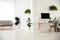 Modern workplace in room decorated with green plants. Home design