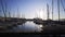 Modern yachts near pier on sunny day