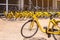 Modern yellow bicycle for rent with many same yellow bikes stand
