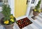 Modern zig-zag patterned colorful welcome zute doormat outside home with yellow flowers and leaves