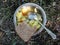 Modest food on a hike - stewed potatoes in an iron bowl and Russian, brown bread