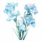 Modest Gladiolus Arrangement: Watercolor Clipart In Ice Blue Hues