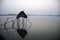 Modest straw hut of Indian fishermen in the Ganges, Sunderband, India