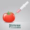 Modification of tomato vector illustration