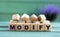 MODIFY - word on wooden cubes on a green background with lavender