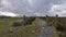 Moel Siabod Snowdonia National Park Nort Wales