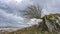 Moel Siabod Snowdonia National Park Nort Wales