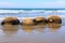 Moeraki Boulders in