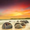 Moeraki Boulders