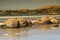 Moeraki boulders