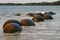 Moeraki boulders