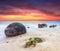 Moeraki Boulders Epic Sunrise