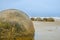 Moeraki Boulders on Koekohe Beach in Otago