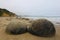 Moeraki Boulders in Koekohe Beach on the wave-cut Otago coast of New Zealand