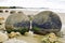 Moeraki Boulders, New Zealand