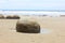 Moeraki boulders in new zealand