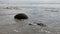 Moeraki boulders, ocean surf and empty New Zealand beach