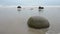 Moeraki boulders in the Pacific Ocean waves