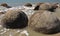 Moeraki Boulders Scenic Reserve New Zealand