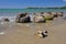 Moeraki Boulders Scenic Reserve New Zealand