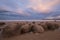 Moeraki Boulders at sunset, New Zealand