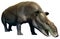 Moeritherium